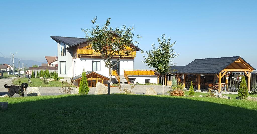 Villa Swiss Săcele Exterior foto